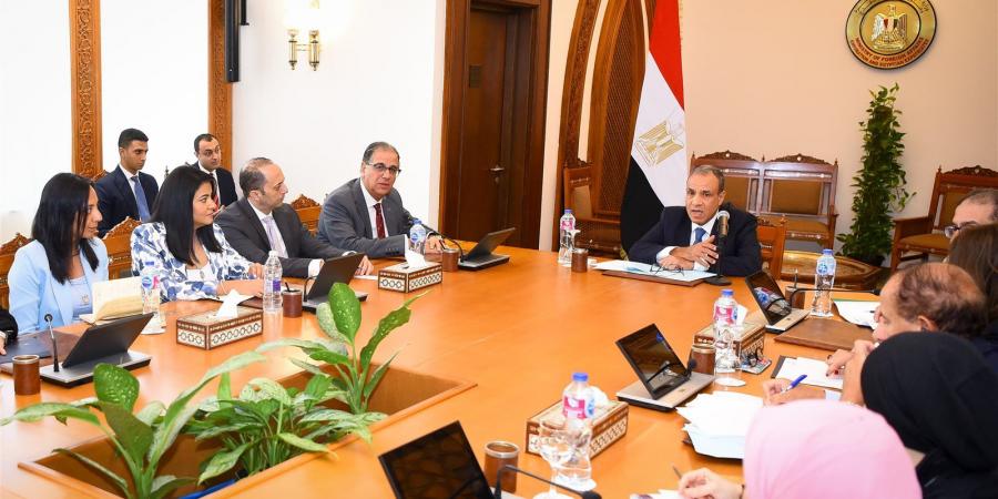 توجيه هام من وزير الخارجية إلى السفارات والقنصليات المصرية بالخارج بشأن الانتخابات البرلمانية المقبلة