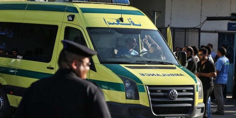 مصر.. مشاجرة بالأسلحة النارية والأمن يكشف التفاصيل
