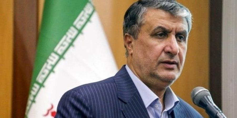 رئيس منظمة الطاقة الذرية الإيرانية: سنتخذ مجموعة من الإجراءات فور صدور قرار ضدنا في اجتماع مجلس محافظي الوكالة
