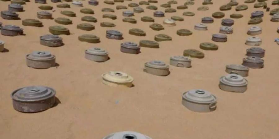 السعودية تنزع نصف مليون لغم زرعها الحوثي في اليمن