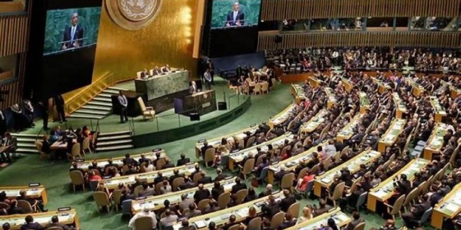بيان لـ«الرئاسة المشتركة لمؤتمر الأمم المتحدة» حول التسوية السلمية للقضية الفلسطينية وتطبيق حل الدولتين