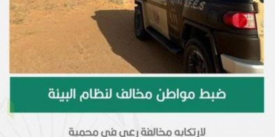 الأمن البيئي يضبط مواطنًا مخالفًا لارتكابه مخالفة رعي في محمية الإمام عبدالعزيز
