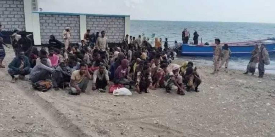 وصول مئات المهاجرين إلى محافظة يمنية واحدة خلال يوم!!