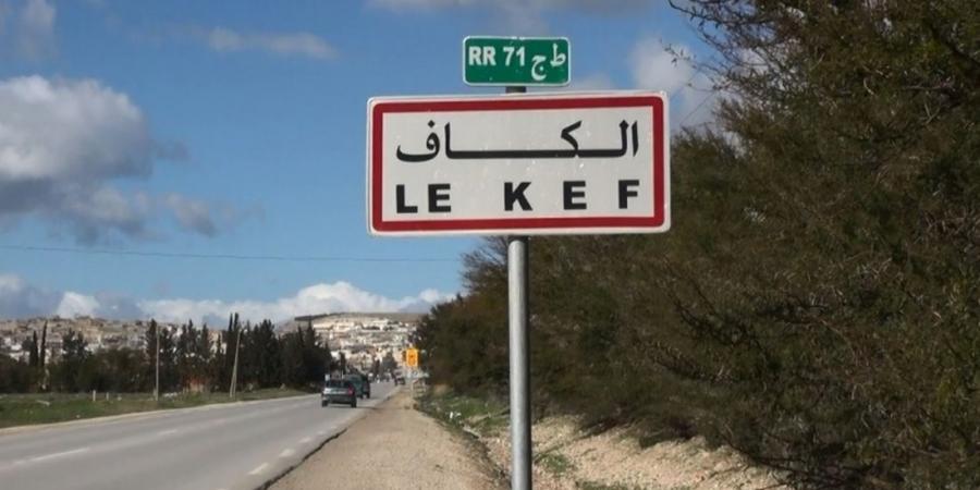 الكاف: اليوم انطلاق توزيع مادتي القمح الصلب والقمح اللين المجمّعة على المطاحن (المدير الجهوي لديوان الحبوب)