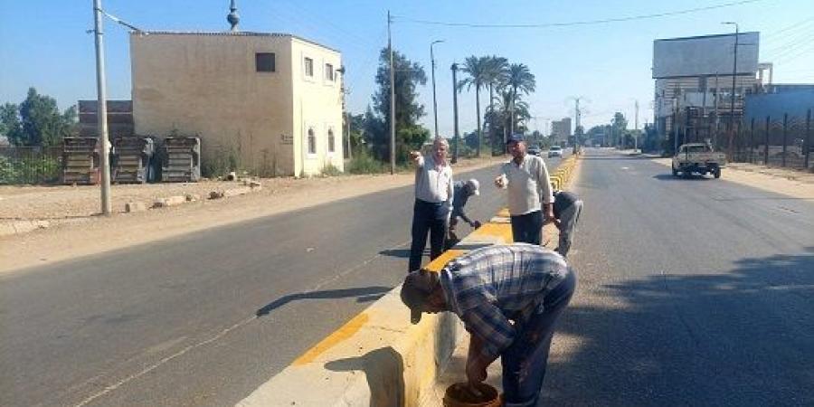 استمرارحملات النظافة بمركز ومدينة دسوق