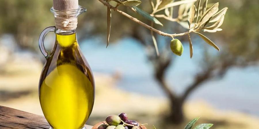 الزيت البيولوجي التونسي ينفذ إلى السوق الأمريكية والفرنسية بعلامة محلية من جرجيس