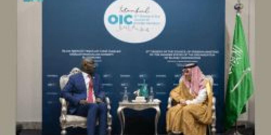 وزير الخارجية السعودي يلتقي نظيره الموريتاني في إسطنبول