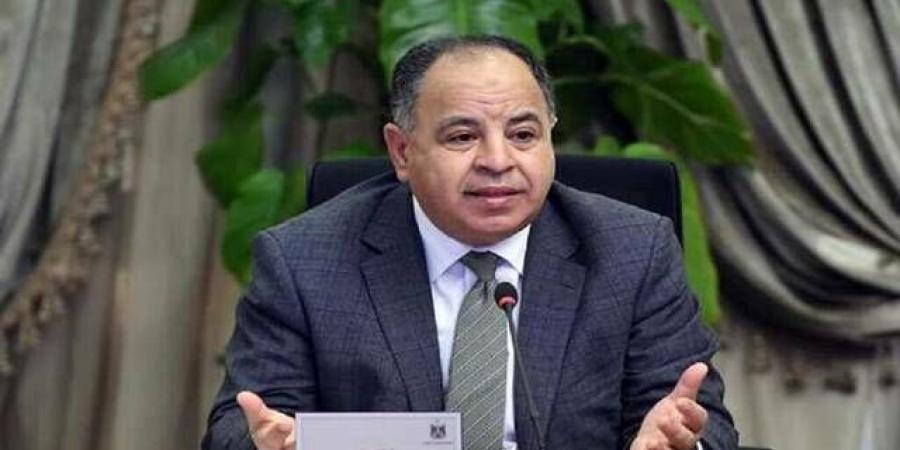"معيط": الصمود الاقتصادي العربي صار ضرورة لا غنى عنها في ظل الأوضاع الحالية