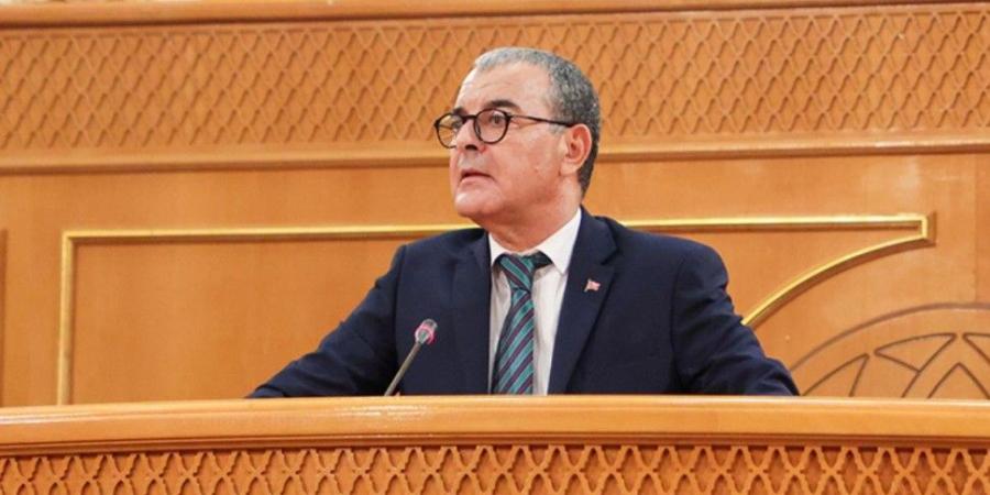 وزير الاقتصاد: تونس لا زالت جاذبة للاستثمارات رغم الصدمات