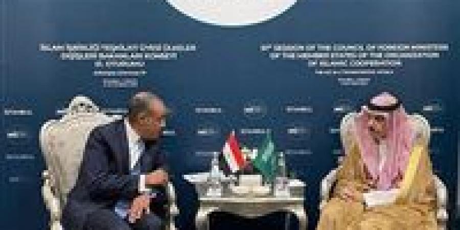 على هامش اجتماعات منظمة التعاون الإسلامي في أسطنبول.. وزير الخارجية والهجرة يلتقي بنظيره السعودي