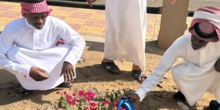 مبادرتين لمكتب بيئة رنية لسقيا المزروعات
