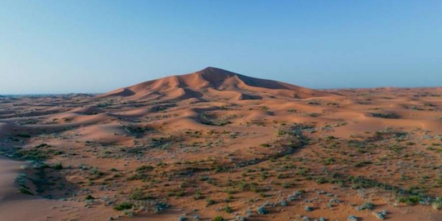 تحديث آلية الدخول والتنزه في الصمان والدهناء