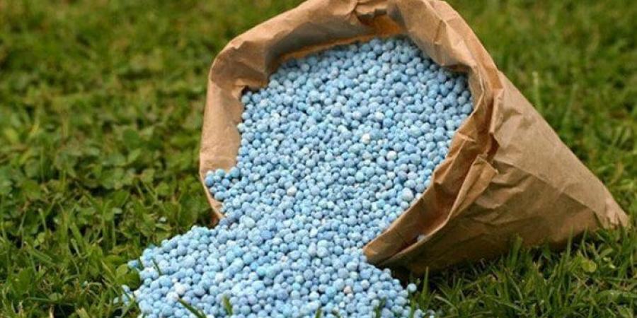 صادرات مصر من الأسمدة والبتروكيماويات تتخطى 3 مليارات دولار خلال الربع الأول