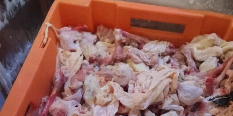 ضبط منتجات دواجن منتهية الصلاحية وعصائر مجهولة المصدر بالقليوبية