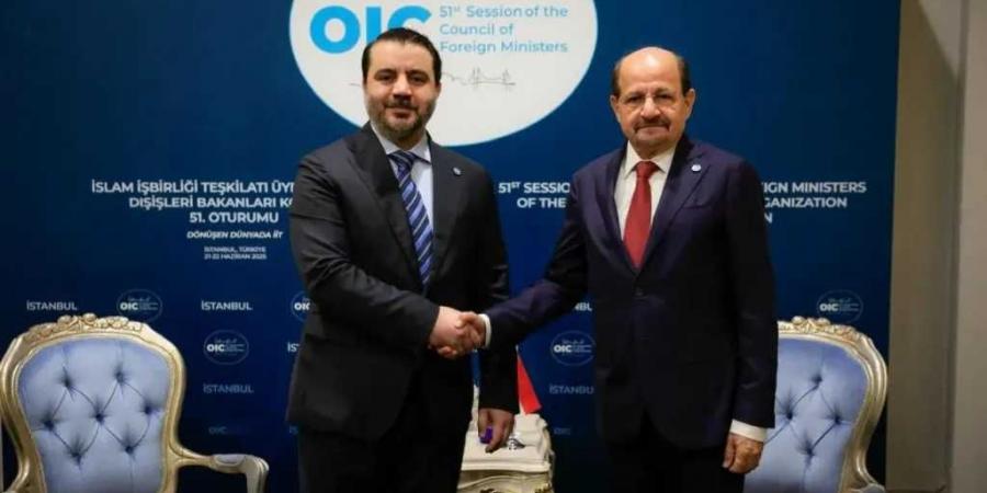 مباحثات يمنية سورية في تركيا