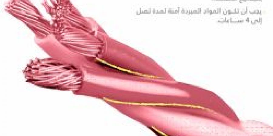 بالإنفوجرافيك .. نصائح للحفاظ على طعامك عند انقطاع الكهرباء