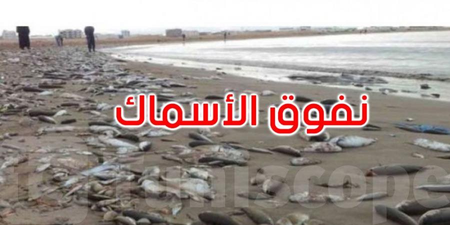 ما هي أسباب نفوق الأسماك بخليج المنستير؟