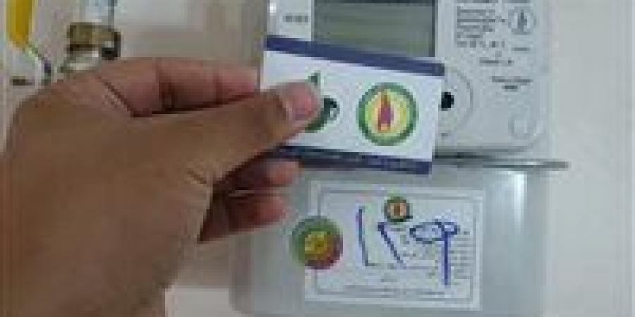 كيفية تسجيل قراءة عداد الغاز ودفع الفاتورة عبر بتروتريد
