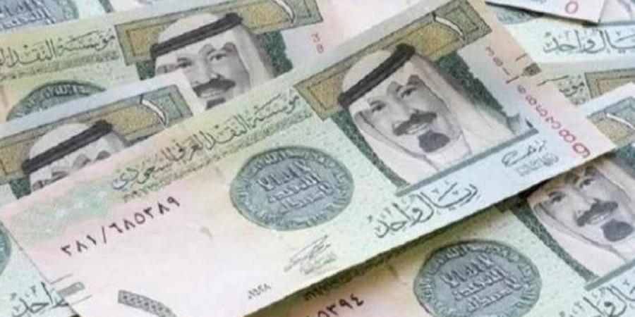 سعر الريال السعودي اليوم الثلاثاء 24 يونيو 2025