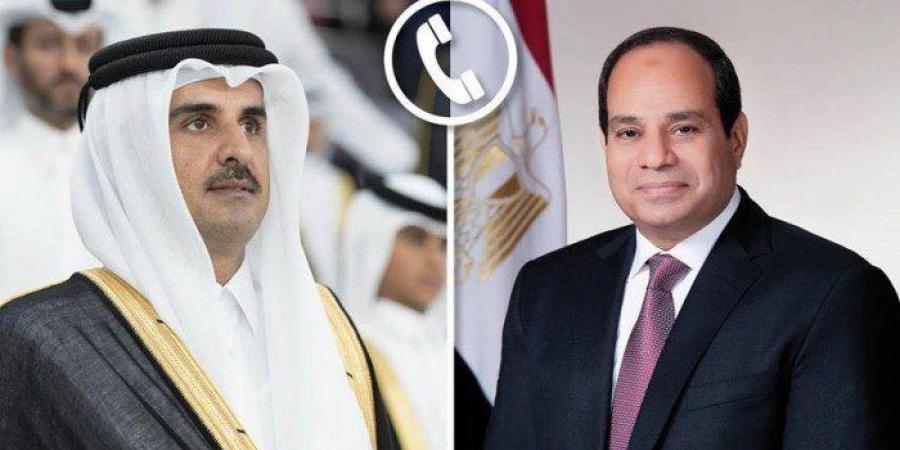 الرئيس المصري والأمير تميم يتبادلان وجهات النظر حول الأوضاع الإقليمية في الشرق الأوسط