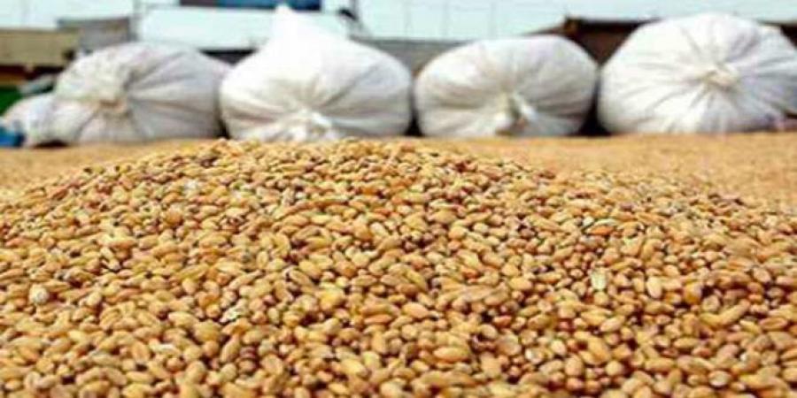 تونس جمعت قرابة 7ر5 مليون قنطار من الحبوب الى غاية يوم 22 جوان 2025