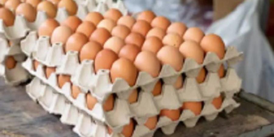 "الإصلاح الزراعي" يطلق منافذ متنقلة لبيع البيض والأسماك بأسعار مخفضة