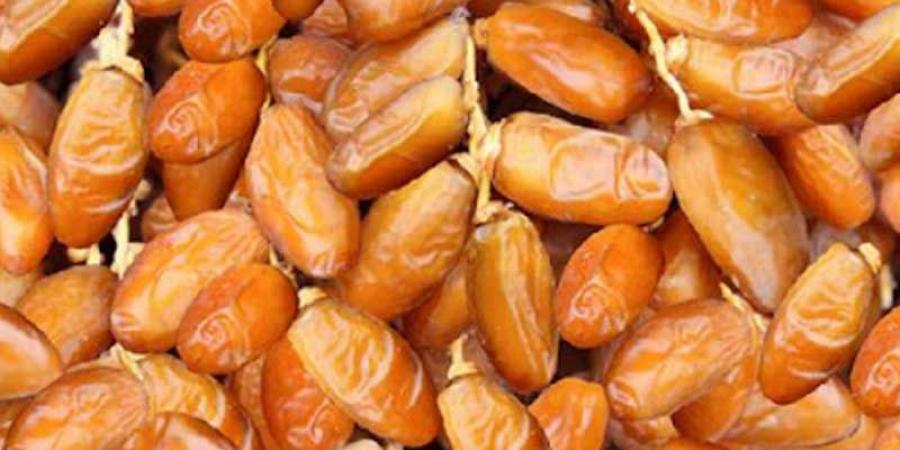 فلاحتنا ... تفاصيل برنامج النهوض بقطاع التمور