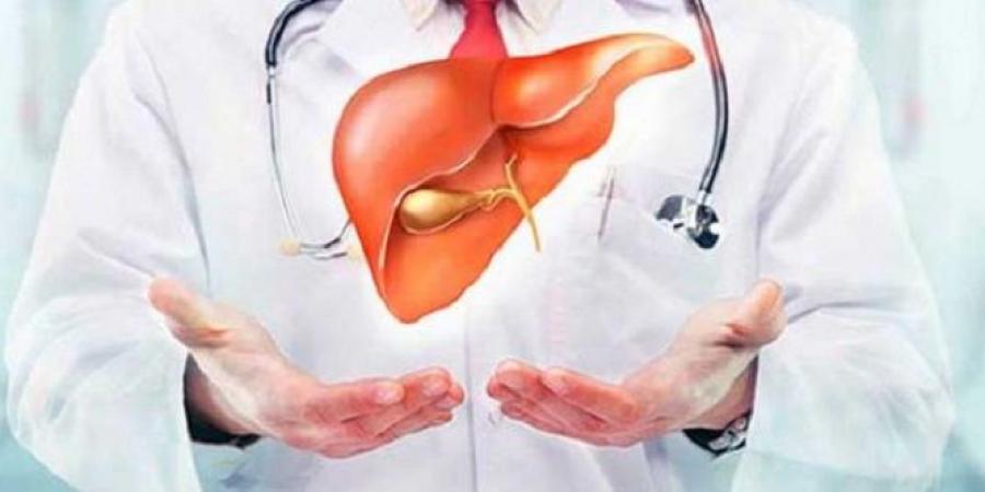 تحذير للموظفين: نمط العمل العصري قد يُهدد صحة كبدك بصمت