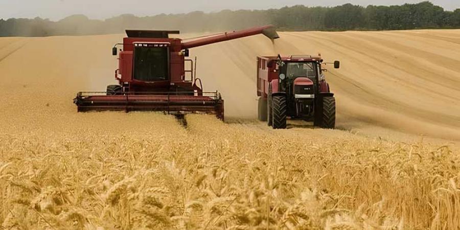 كميات الحبوب المجمعة تتخطي 6.1 مليون قنطار