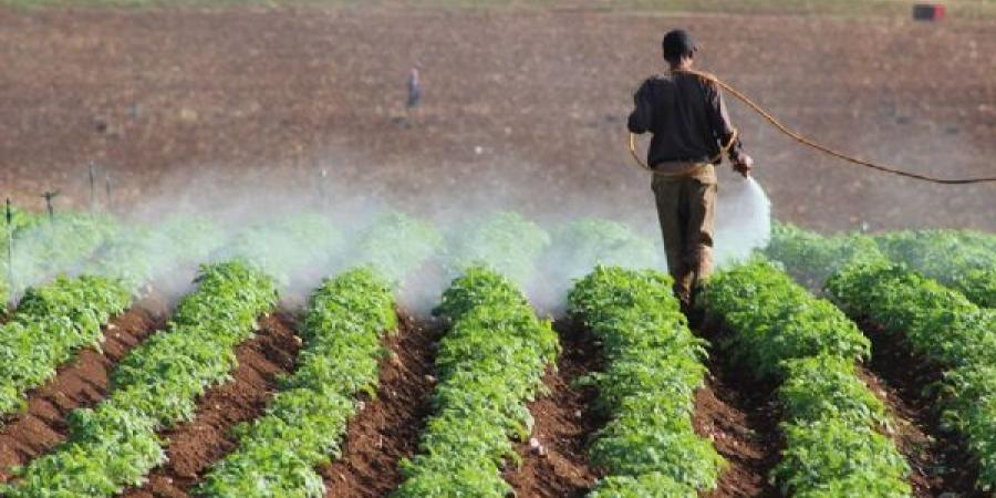 دراسة : التغيرات المناخية تحدث اضطرابا في التقويم الفلاحي وتهدد الأمن الغذائي