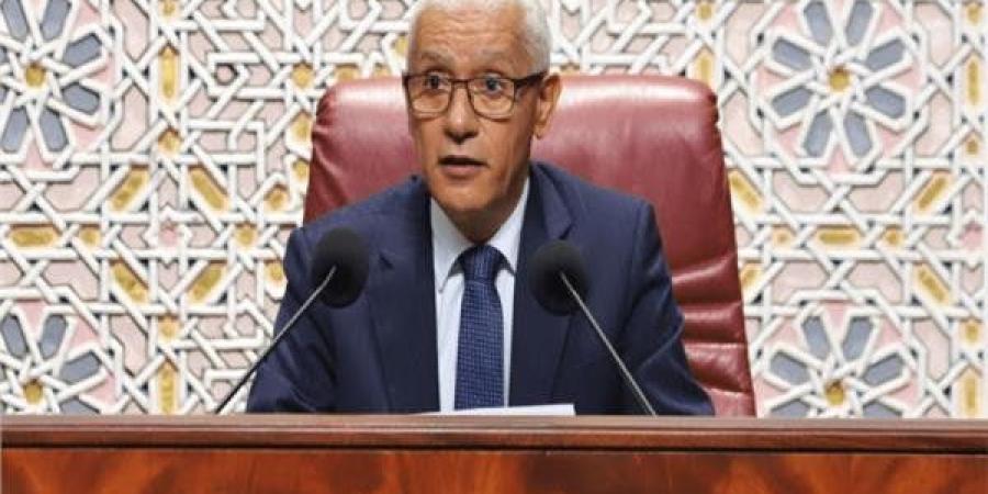 النواب المغربي: ننتهج مقاربة إنسانية لقضية الهجرة