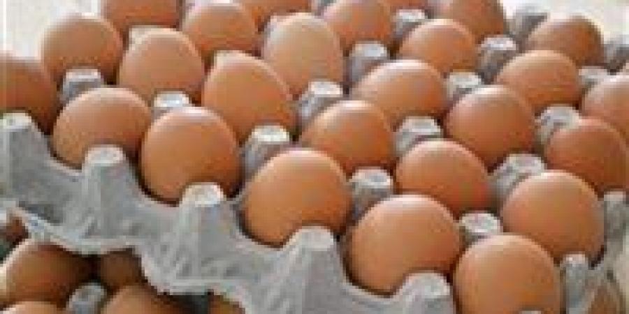 أسعار كرتونة البيض اليوم الجمعة 27 يونيو في الأسواق