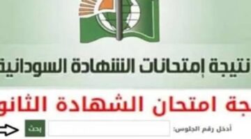 استخـرج درجاتك بسهولة.. رابط الاستعلام عن نتيجة الشهادة السودانية 2025 (كل الولايات) عبر موقع الوزارة mohe.gov.sd فور الاعلان