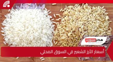 بكام وصل سعر طن الأرز الشعير في السوق النهارده السبت 15 فبراير 2025