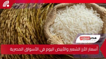 الطن بكام في أسواق؟ أسعار الأرز الشعير والأبيض اليوم في الأسواق المصرية