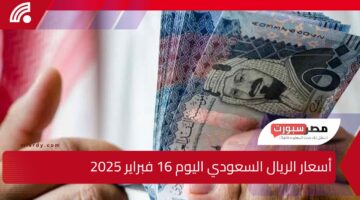 سعر الريال السعودي اليوم 16 فبراير 2025 مقابل مختلف العملات العربية والأجنبية وفقًا لآخر التحديثات المصرفية والتقارير المالية