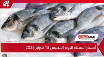 البلطي والبياض.. أسعار السمك اليوم الخميس 13 فبراير 2025 في السوق المصري للمستهلك