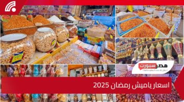 قبل حلول الشهر الكريم.. اسعار ياميش رمضان 2025 وأماكن العروض المخفضة