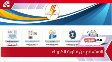 استعلم عن فاتورة الكهرباء بسهولة.. خطوات الدخول إلى موقع وزارة الكهرباء برقم العداد eehc.gov.eg