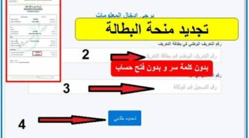 الوكالة الوطنية للتشغيل في الجزائر توضح .. تجديد منحة البطالة