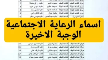 من هنا.. أسماء المشمولين في الرعاية الاجتماعية الوجبة الأخيرة واهم الشروط المطلوبة