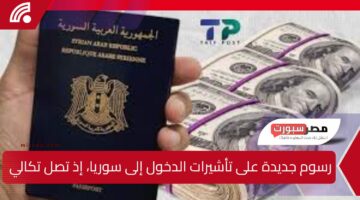 استياء عربي شامل وعميق من القرار بفرض رسوم جديدة على تأشيرات الدخول إلى سوريا، إذ تصل تكاليف التأشيرة للمواطنين المصريين إلى 150 دولارا