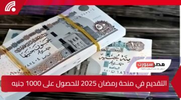 سجل الآن.. رابط التقديم في منحة رمضان 2025 للحصول على 1000 جنيه بالرقم القومي