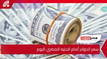 100 دولار بكام في السوق؟… سعر الدولار أمام الجنيه المصري اليوم