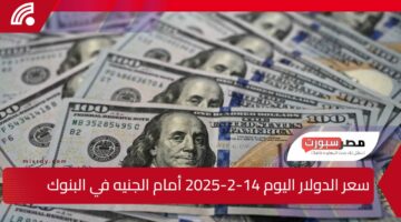 وفقًا لأخر تحديث.. سعر الدولار اليوم 14-2-2025 أمام الجنيه في البنوك المصرية وأسعار العملات