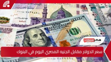 سعر الدولار مقابل الجنيه المصري اليوم الثلاثاء 25 فبراير 2025.. كم سجل الأخضر؟