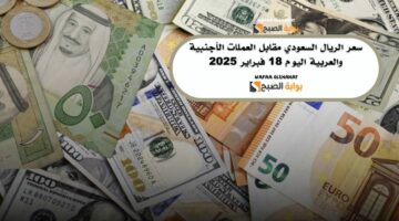 سعر الريال السعودي مقابل العملات الأجنبية والعربية اليوم 18 فبراير 2025