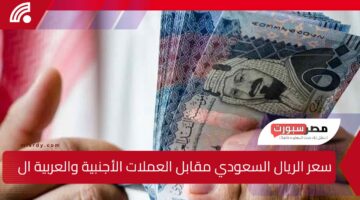 سعر الريال السعودي مقابل العملات الأجنبية والعربية اليوم 21 فبراير 2025