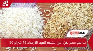 ما هو سعر طن الأرز الشعير اليوم الأربعاء 19 فبراير 2025 في مصر قبل حلول شهر رمضان المبارك