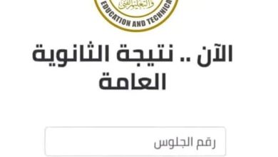 الطريقة للوصول إلى نتيجة الثانوية العامة 2025 عبر بوابة الأسبوع باستخدام رقم الجلوس